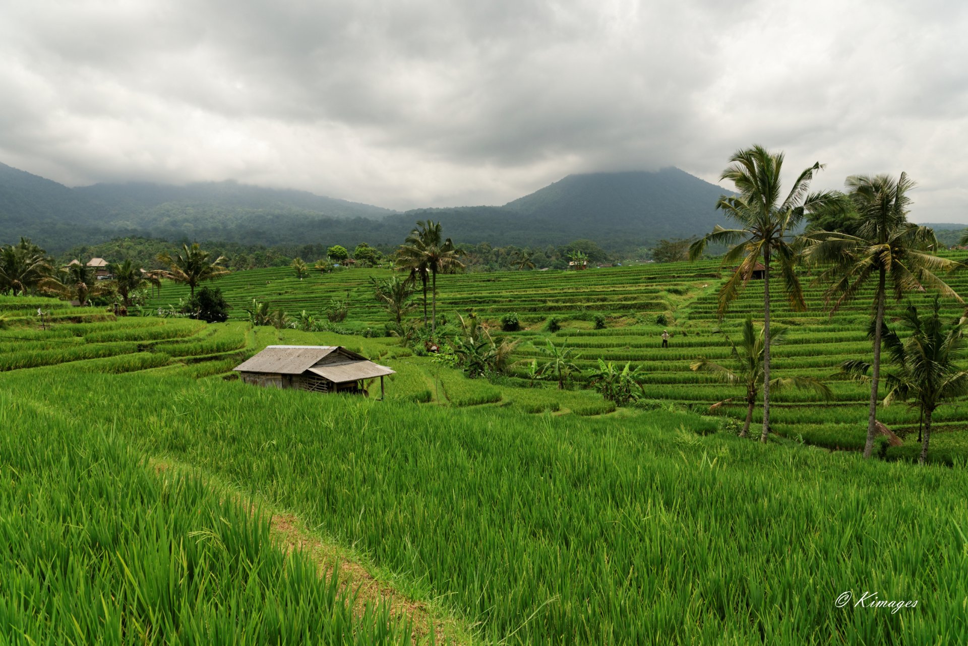 Bali