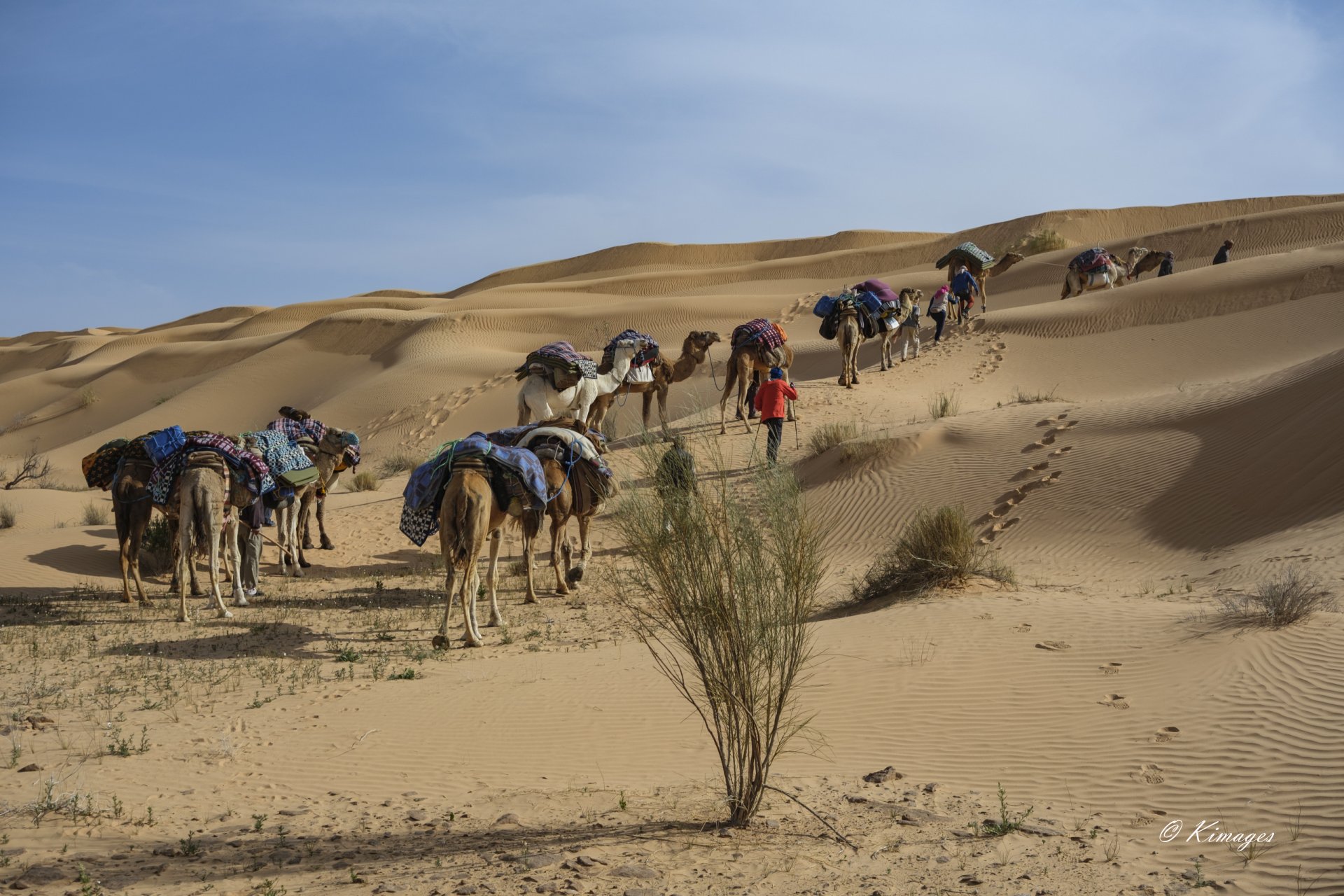 Tunisie: Tembaïne
