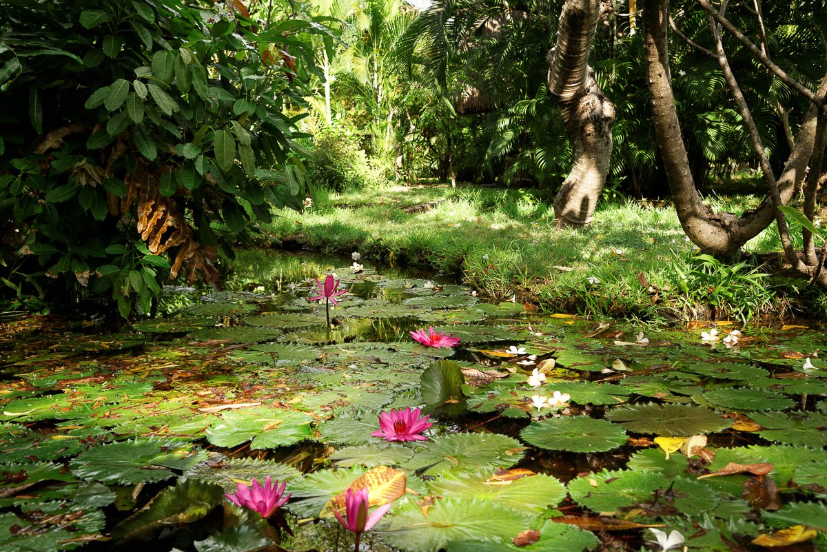 Bali
