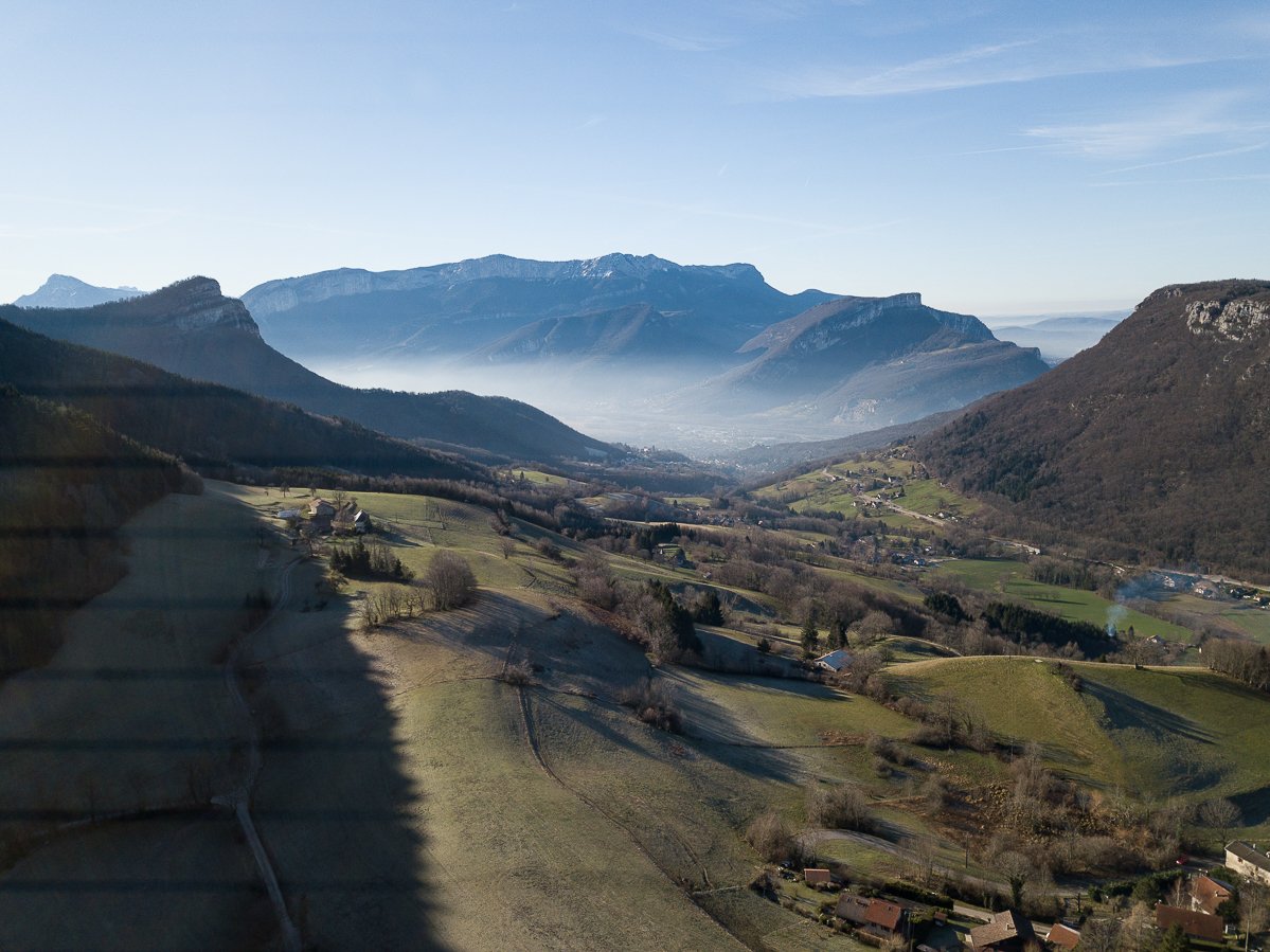 Chartreuse