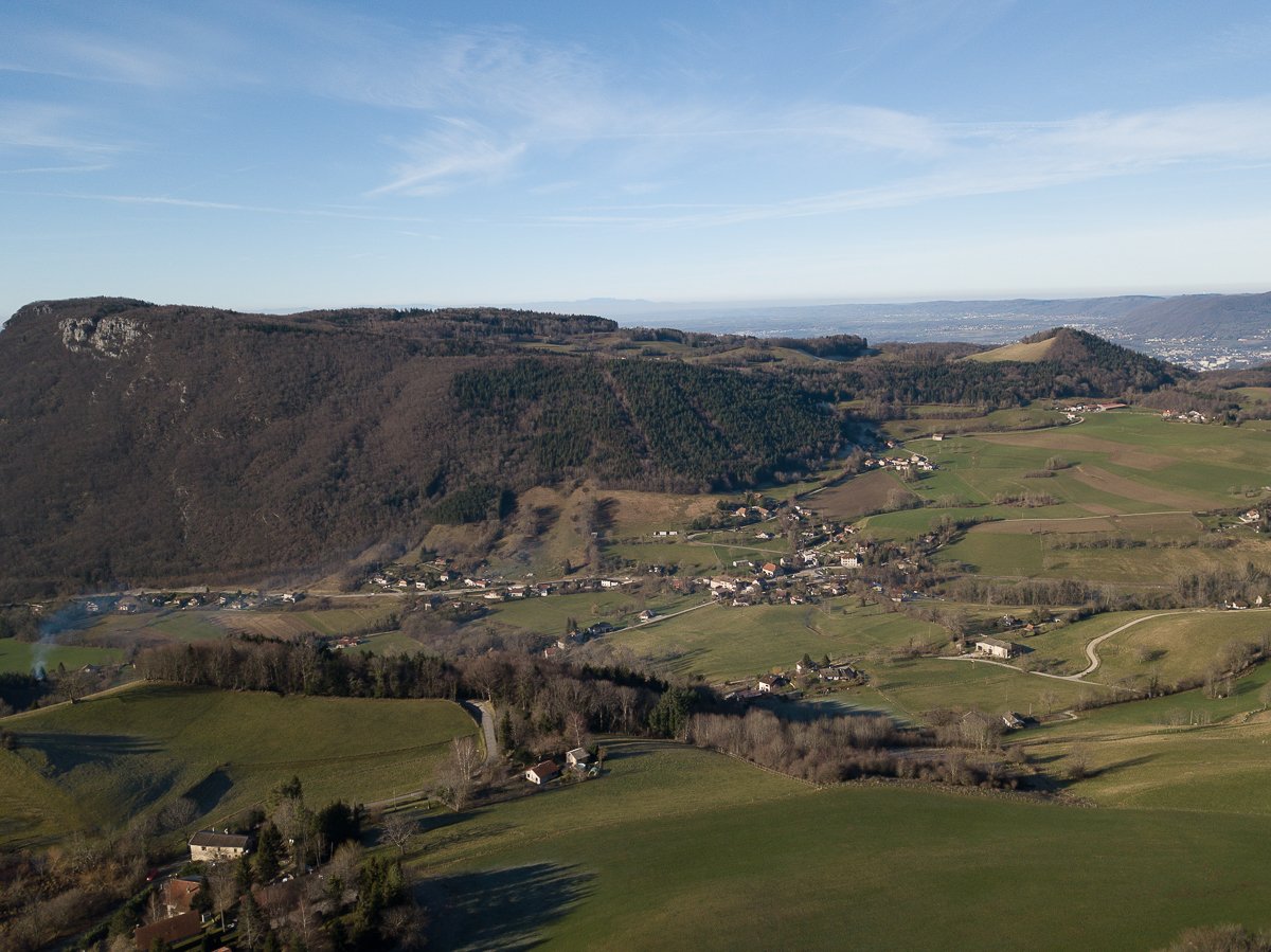 Chartreuse