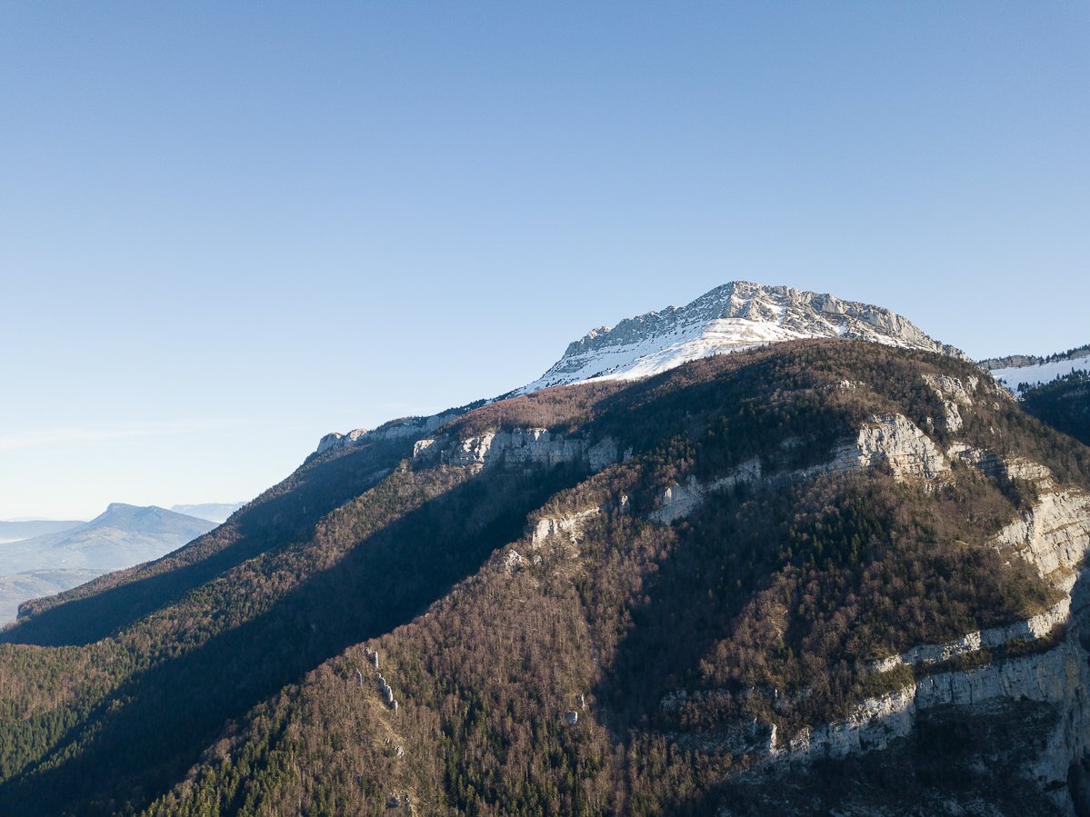 Chartreuse