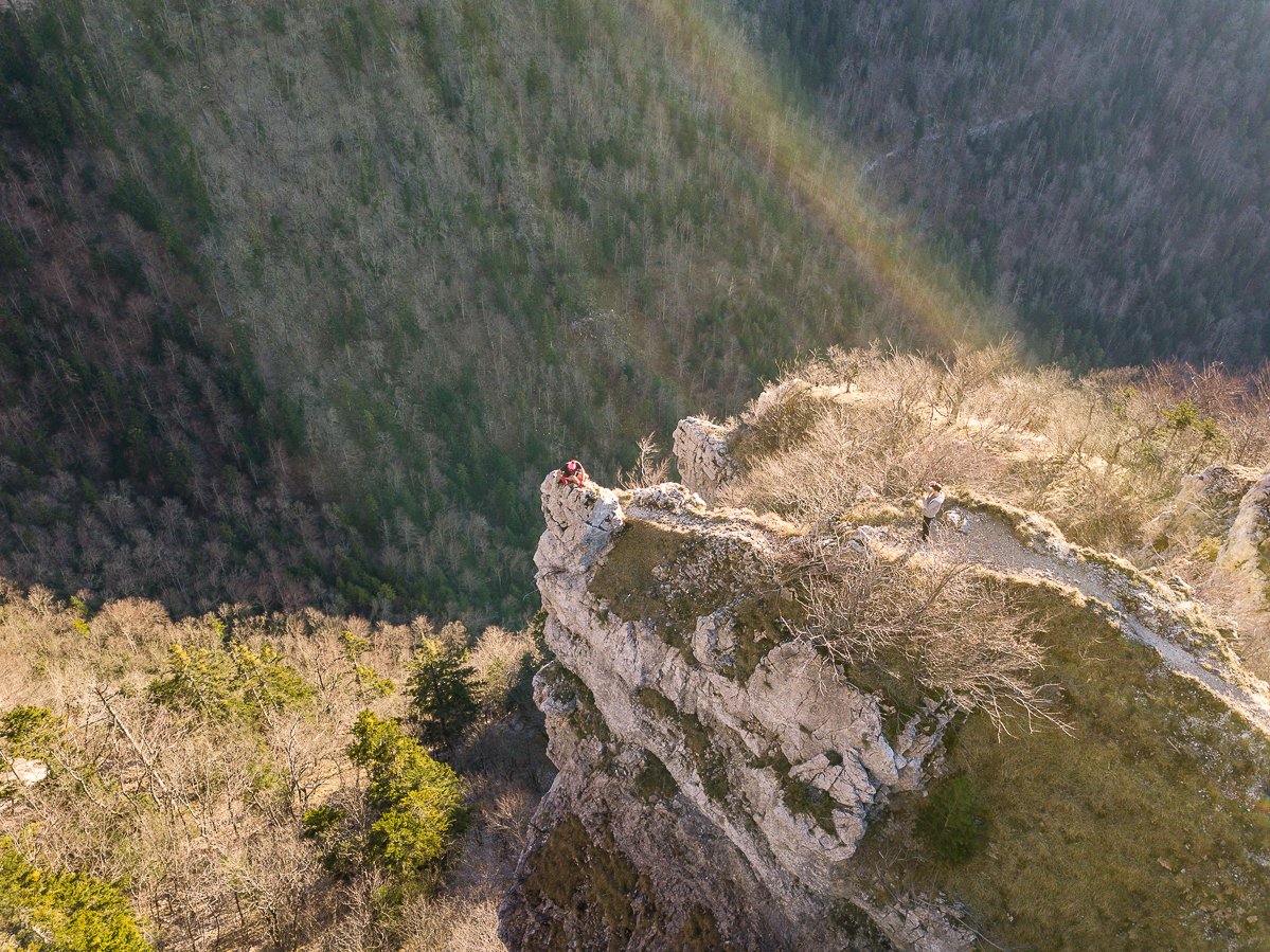 Chartreuse