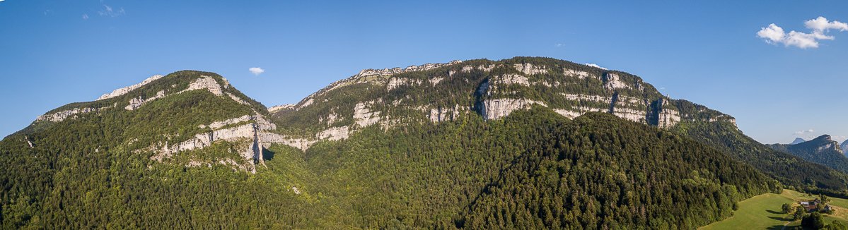 Chartreuse
