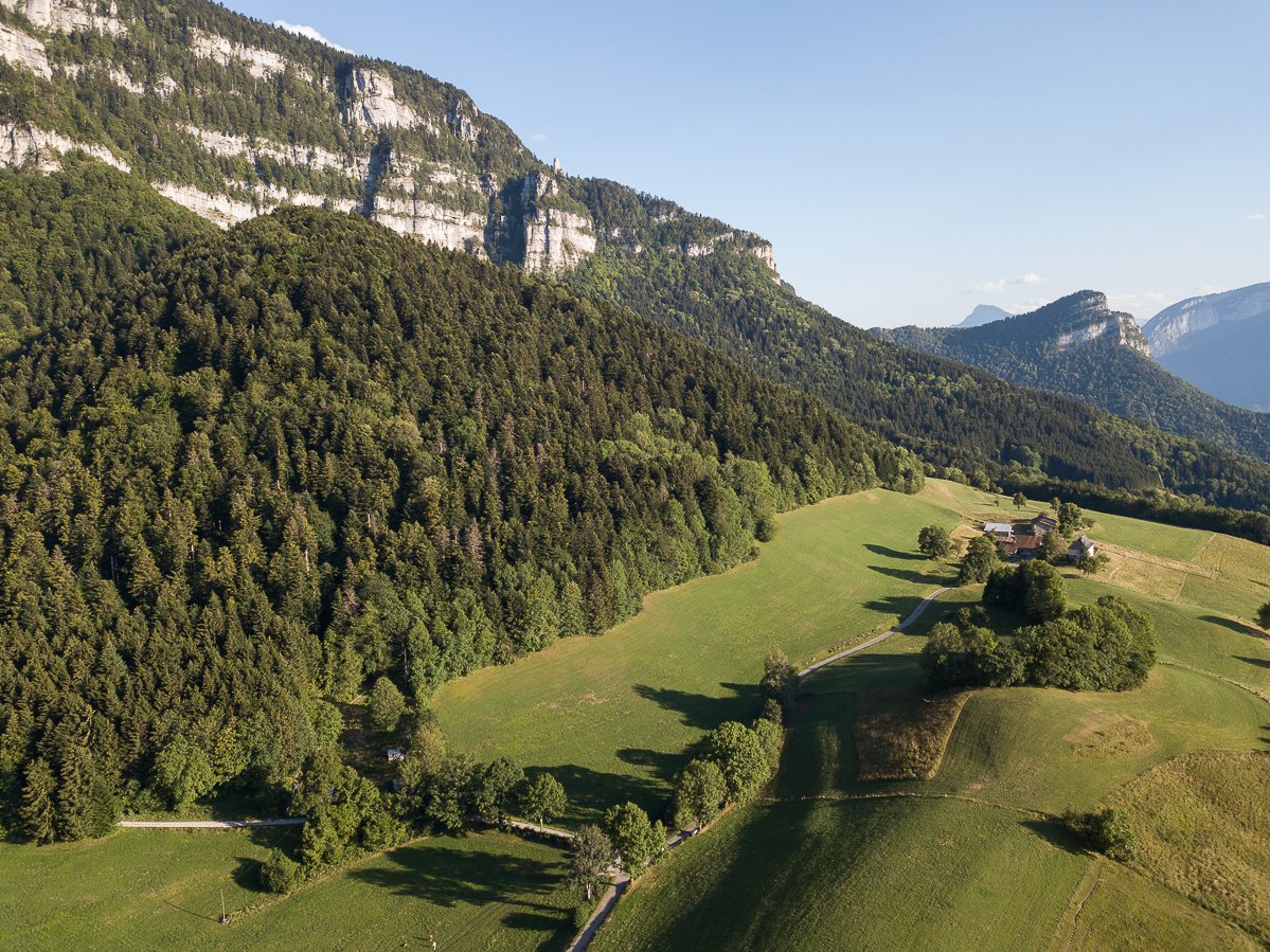 Chartreuse