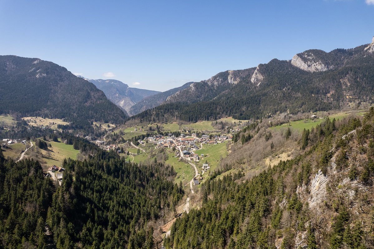 Chartreuse