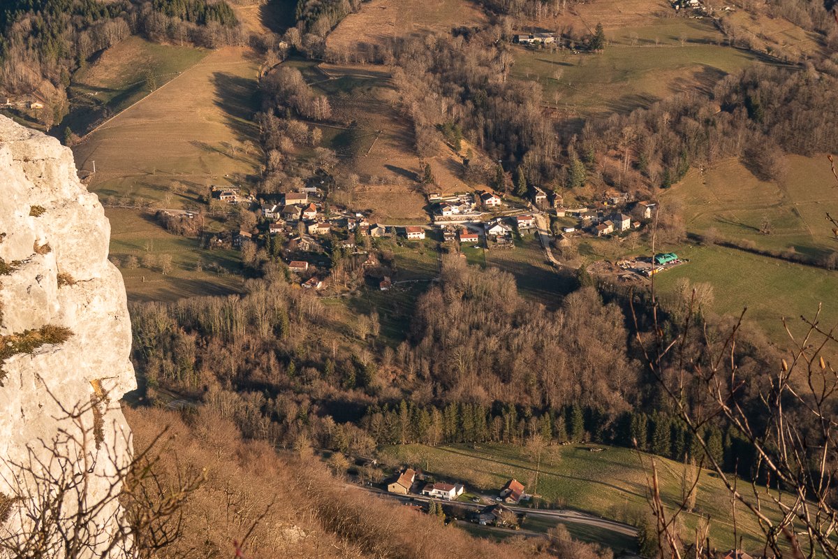 Chartreuse