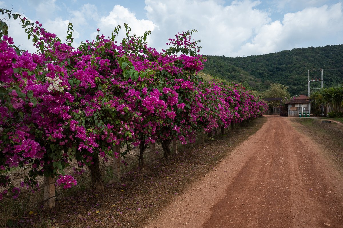 Kampot