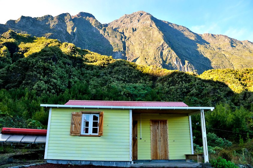 Reunion