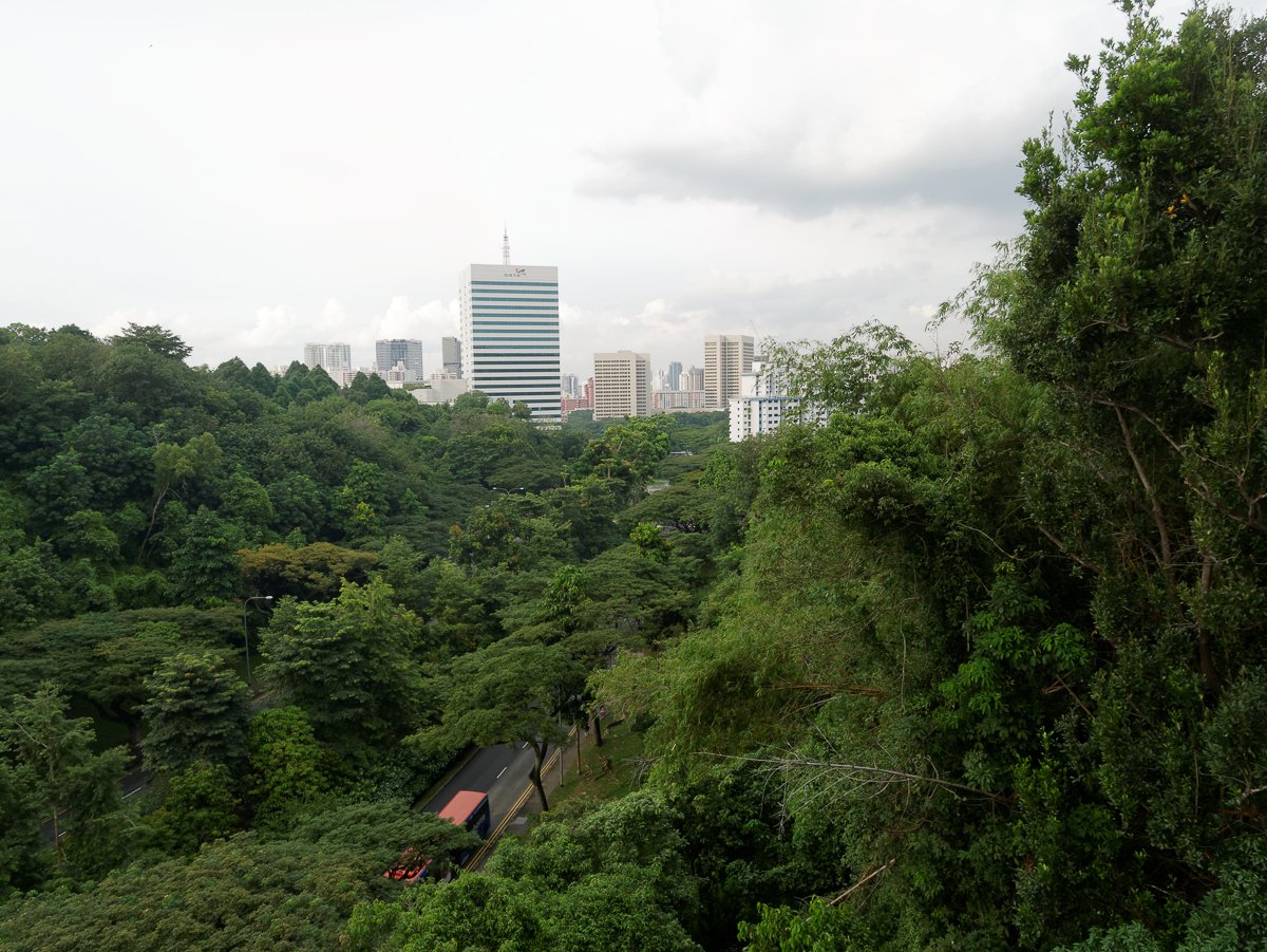 Singapour