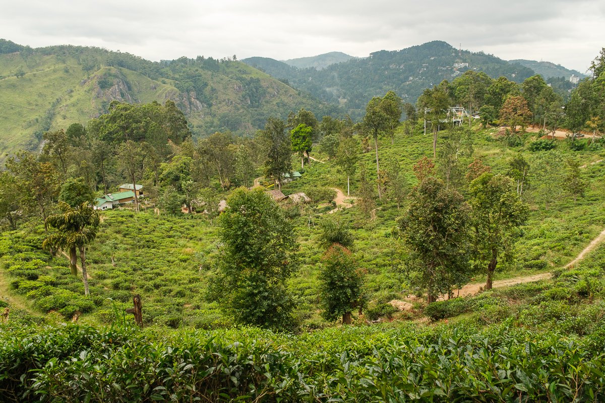 Srilanka23