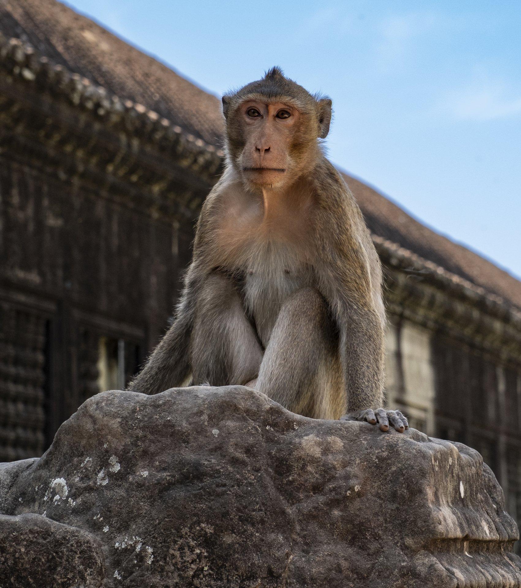 Temples d'Angkor