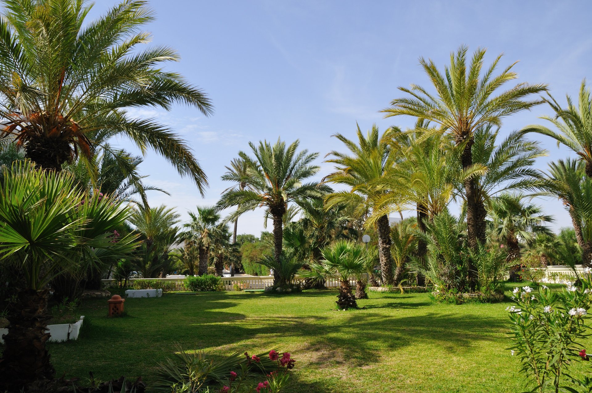 Tunisie Djerba