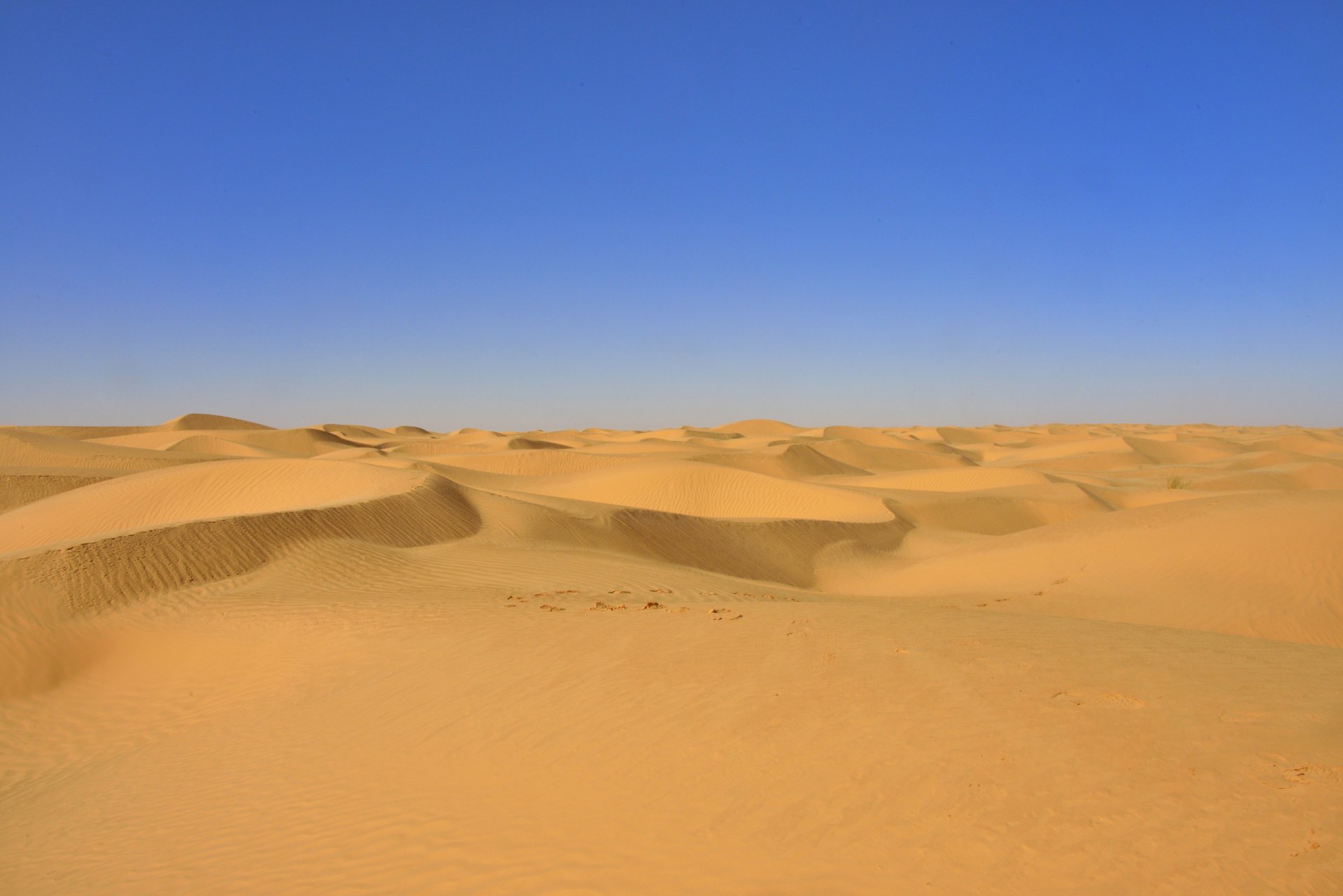 Tunisie: Ksar Ghilane
