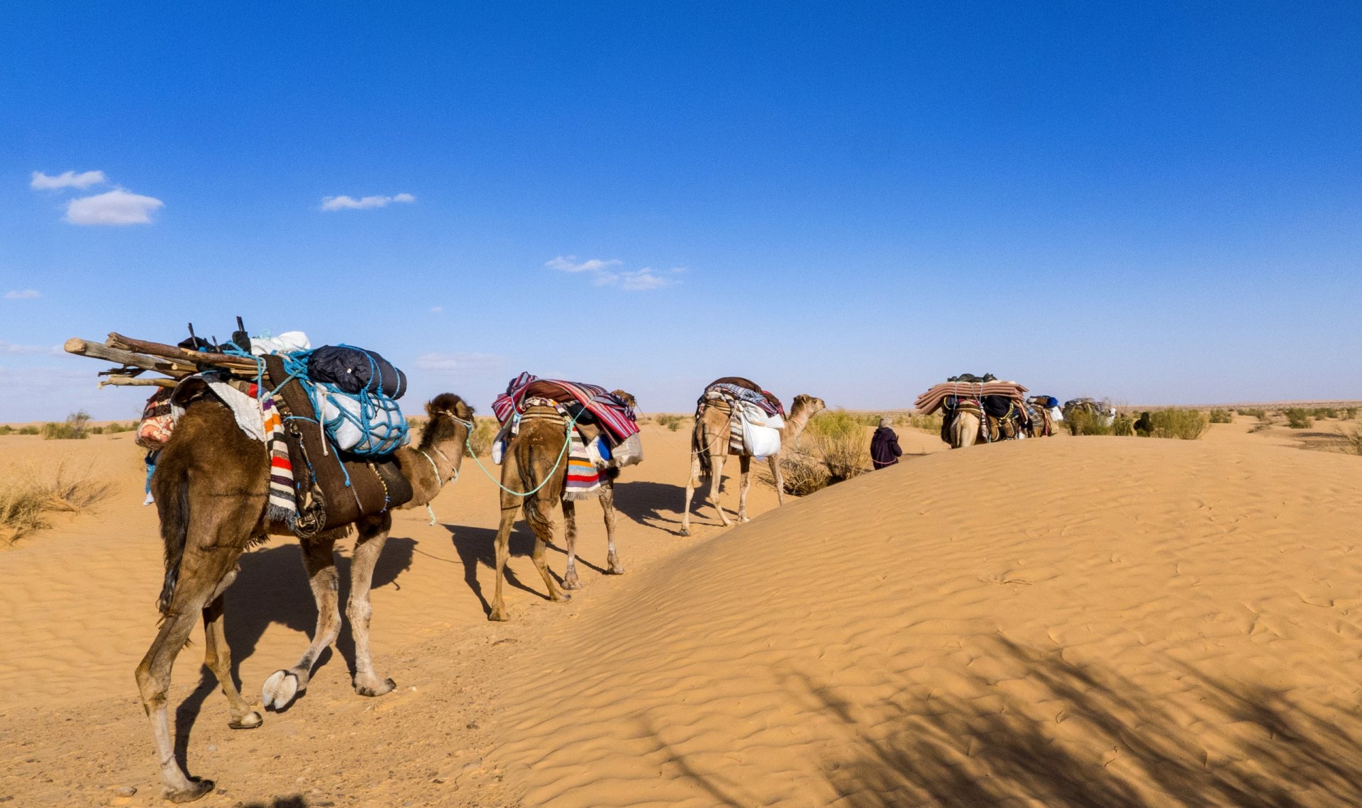 Tunisie: Ksar Ghilane