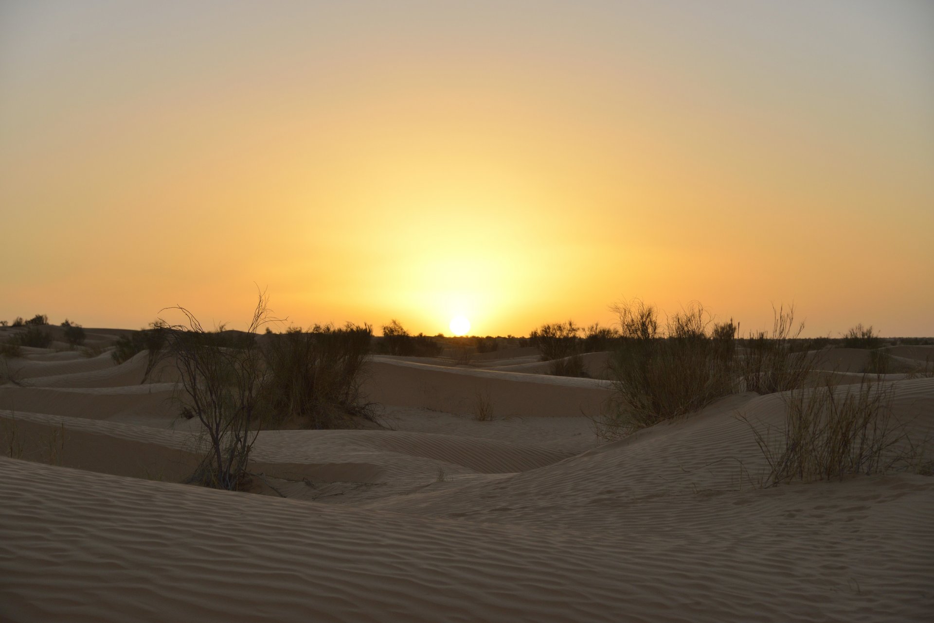 Tunisie: Ksar Ghilane