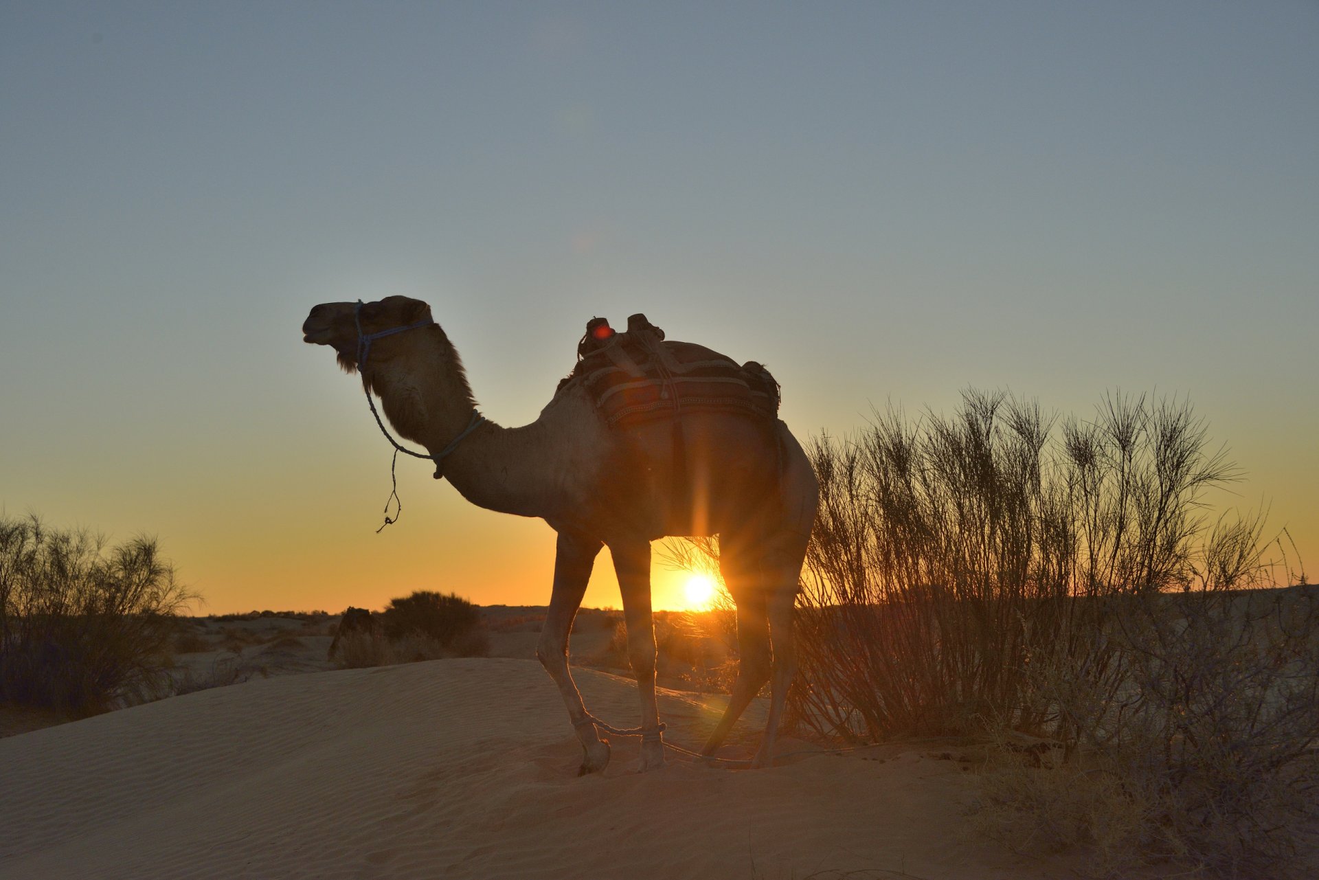 Tunisie: Ksar Ghilane