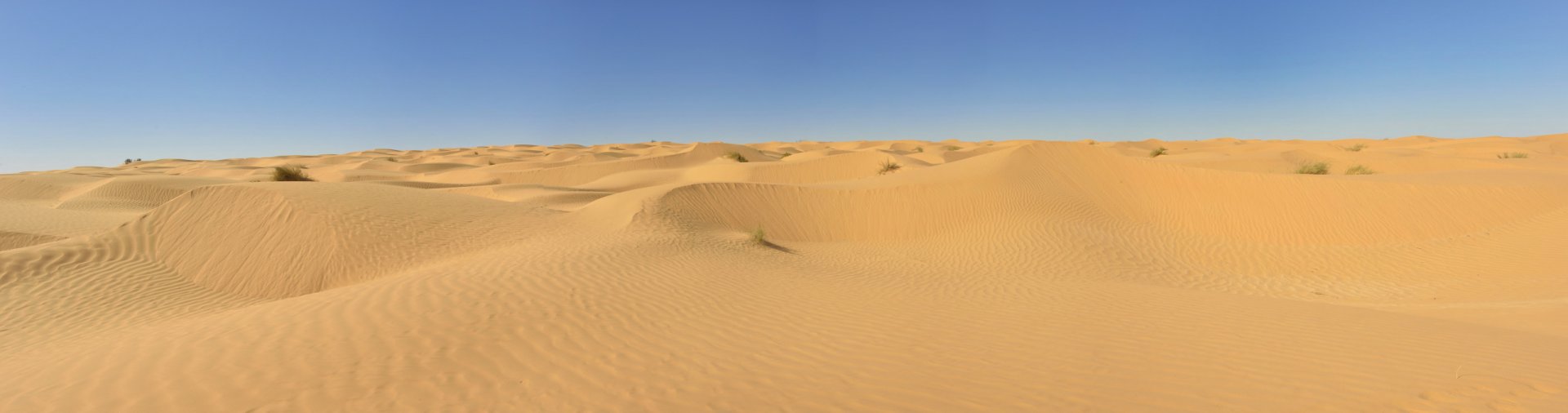 Tunisie: Ksar Ghilane