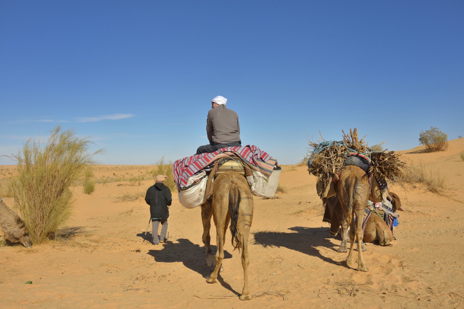 Tunisie: Ksar Ghilane