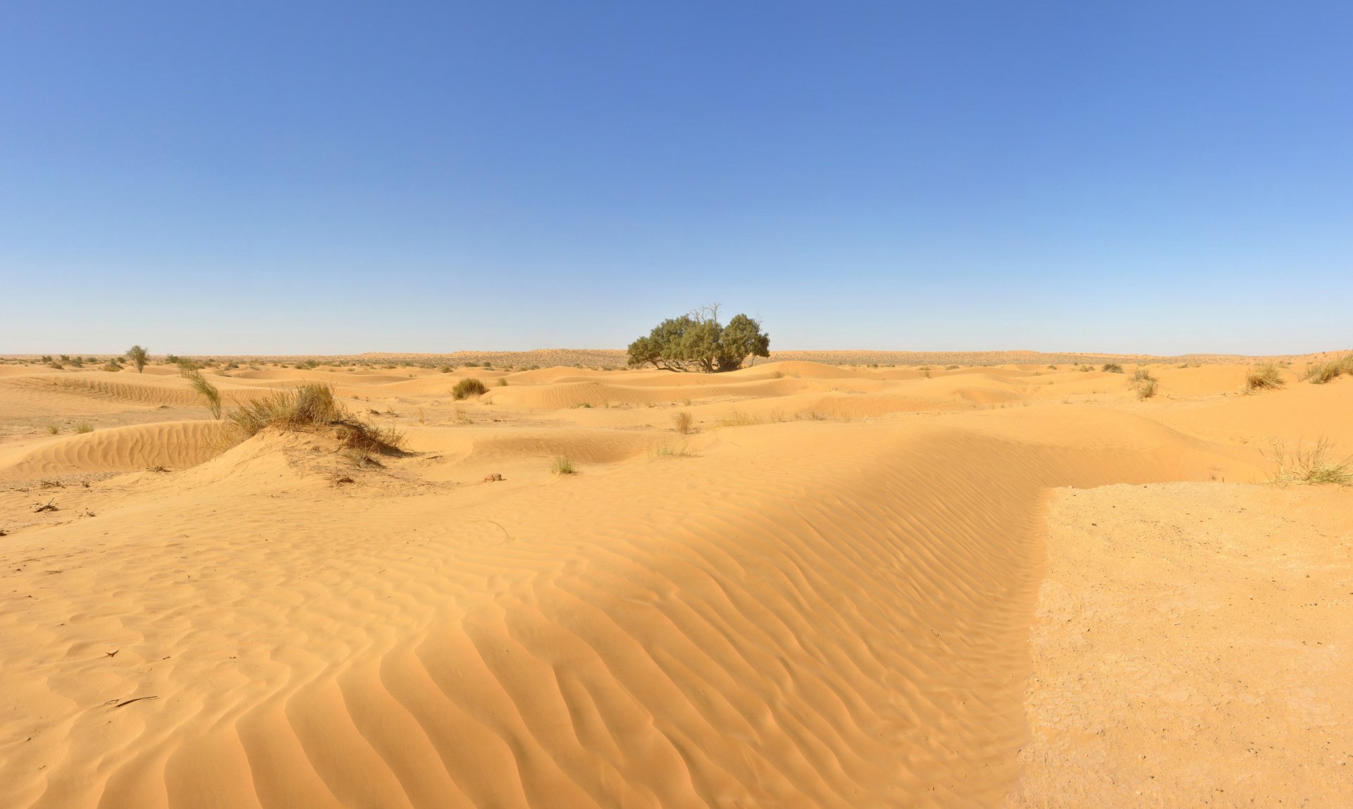 Tunisie: Ksar Ghilane