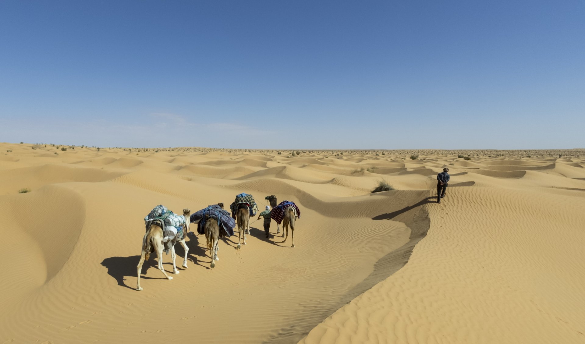 Tunisie: Tembaïne