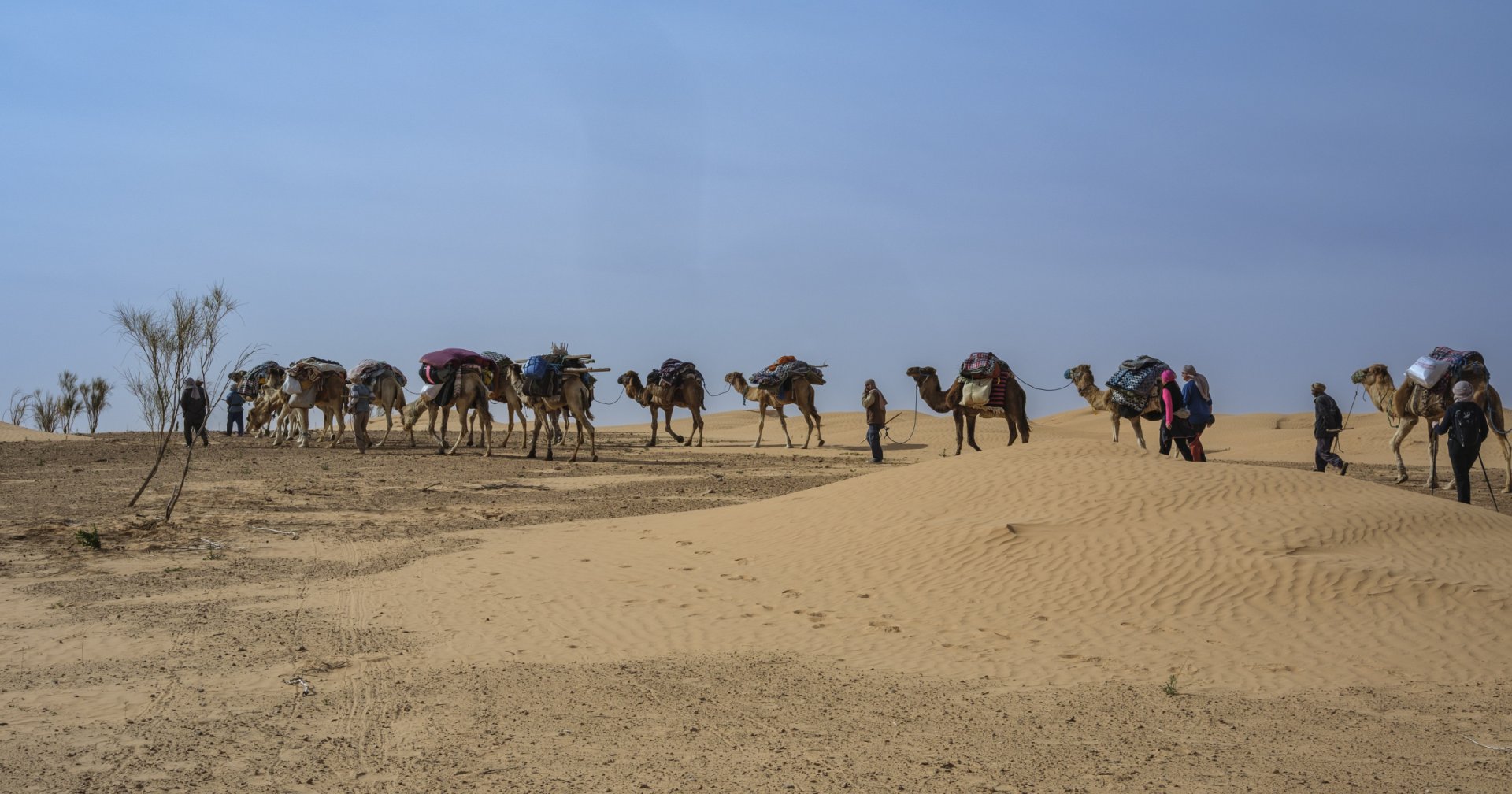 Tunisie: Tembaïne