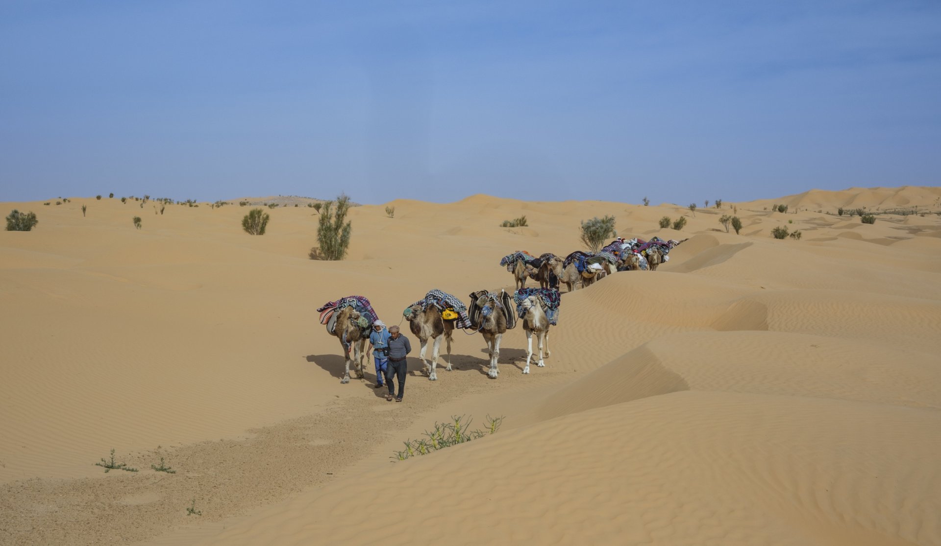 Tunisie: Tembaïne