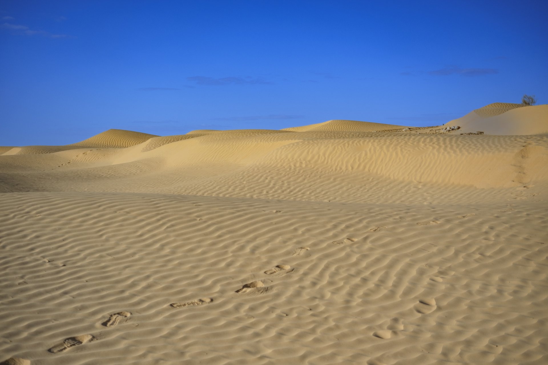 Tunisie: Tembaïne
