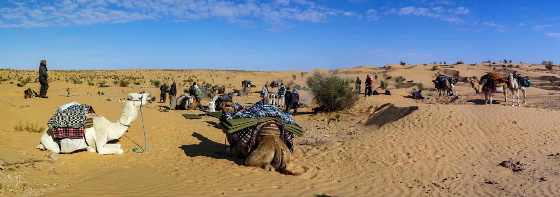 Tunisie: Tembaïne