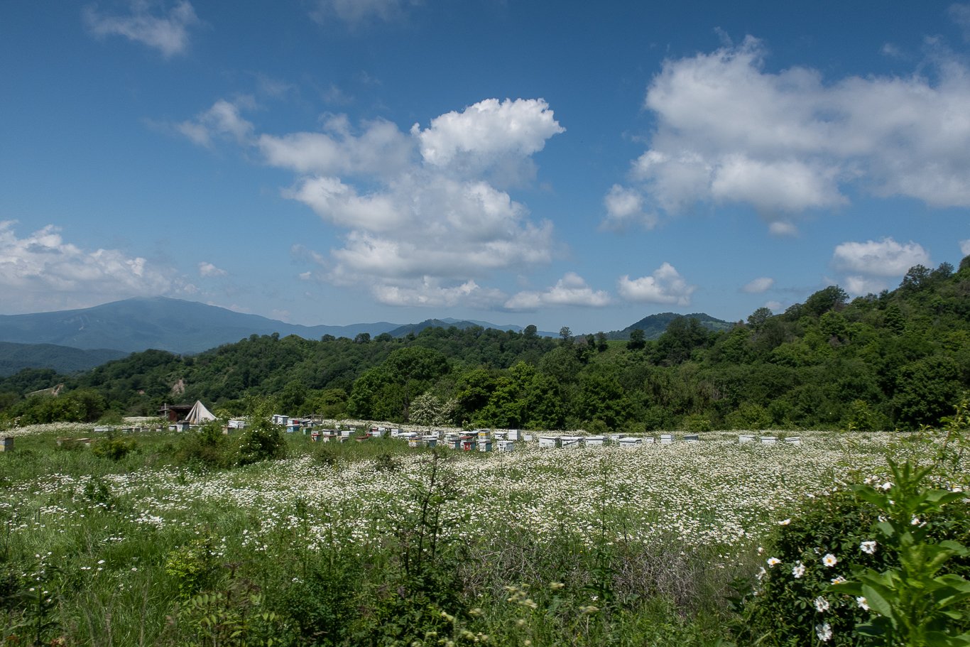 Ubdano