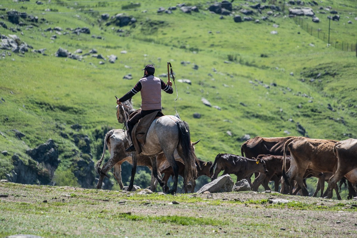 Vardzia