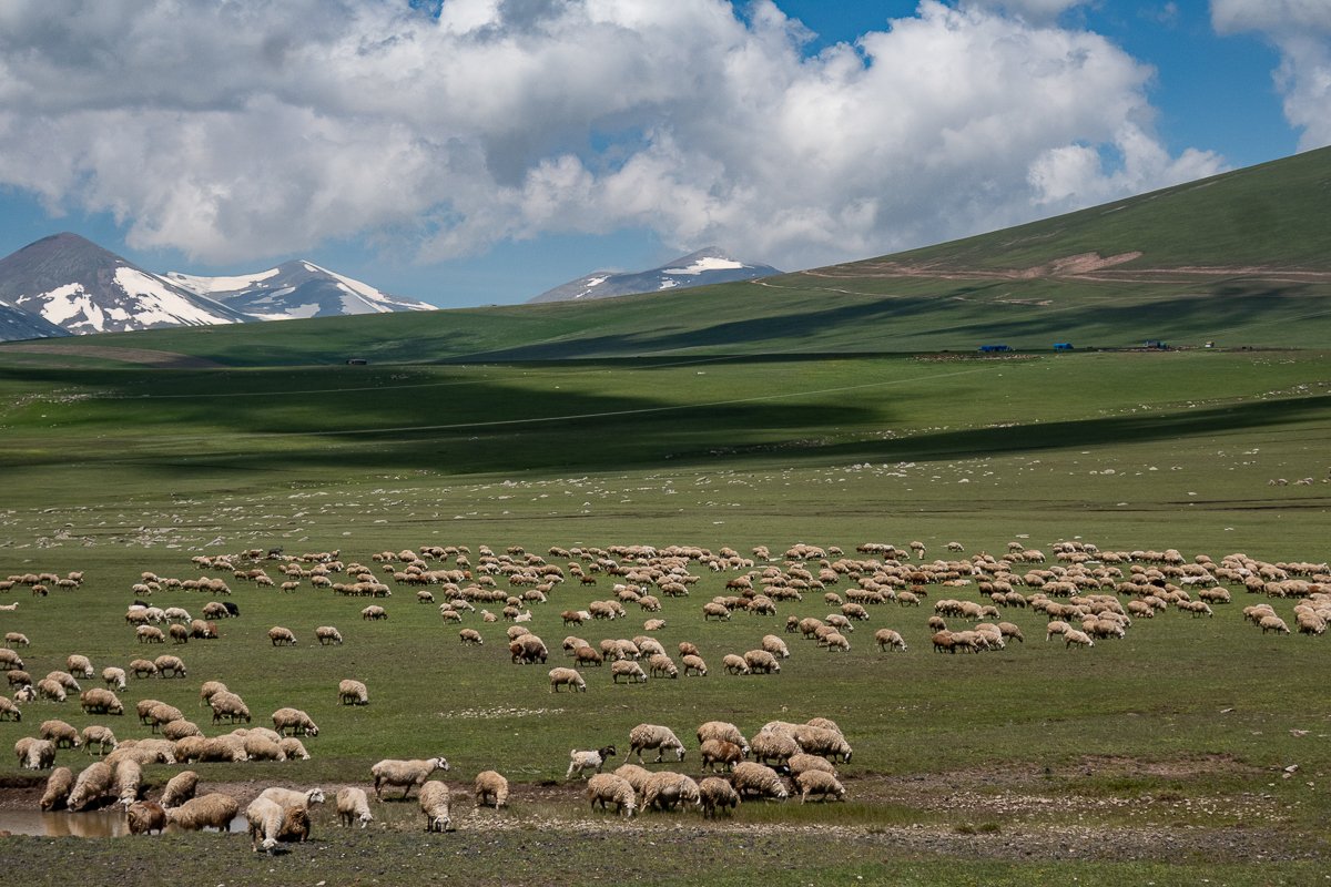 Vardzia