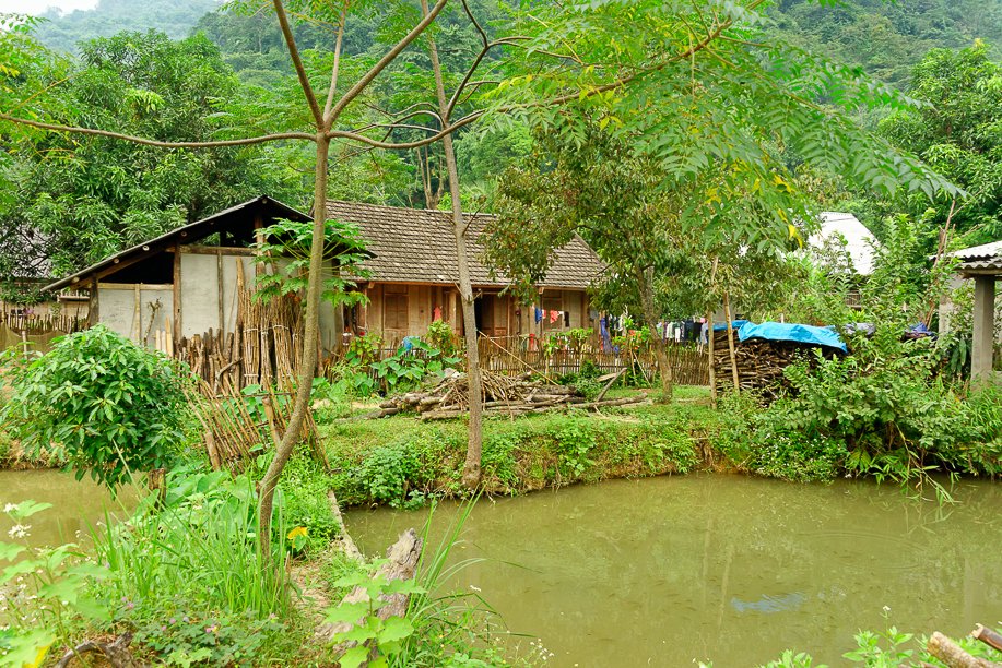Vietnam
