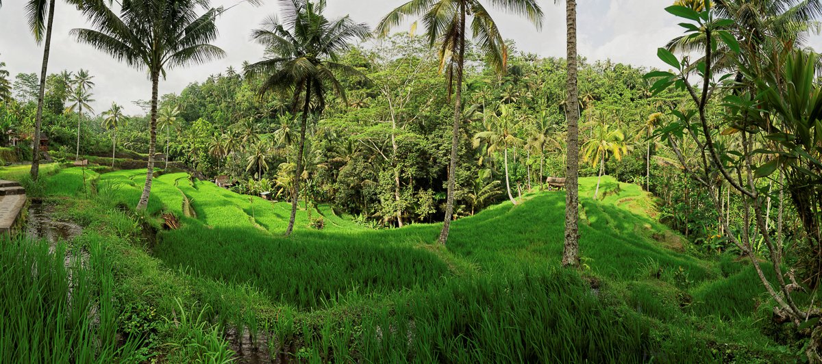 Bali