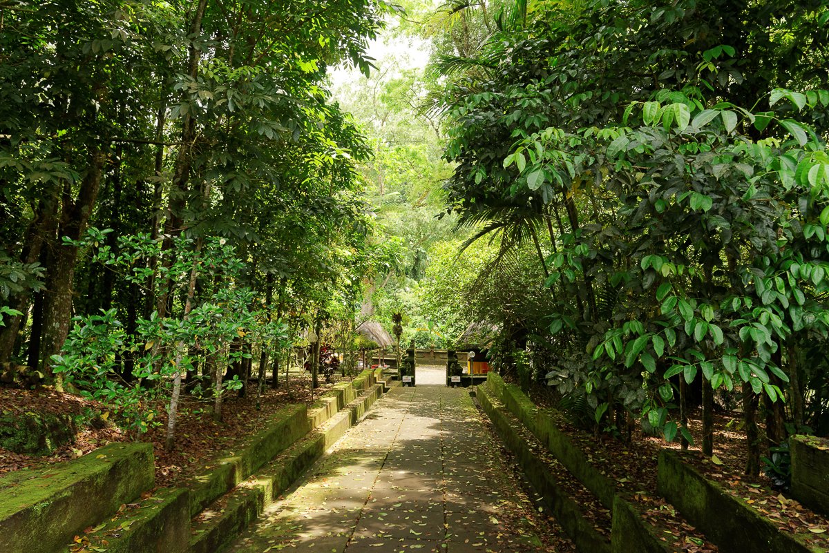 Bali