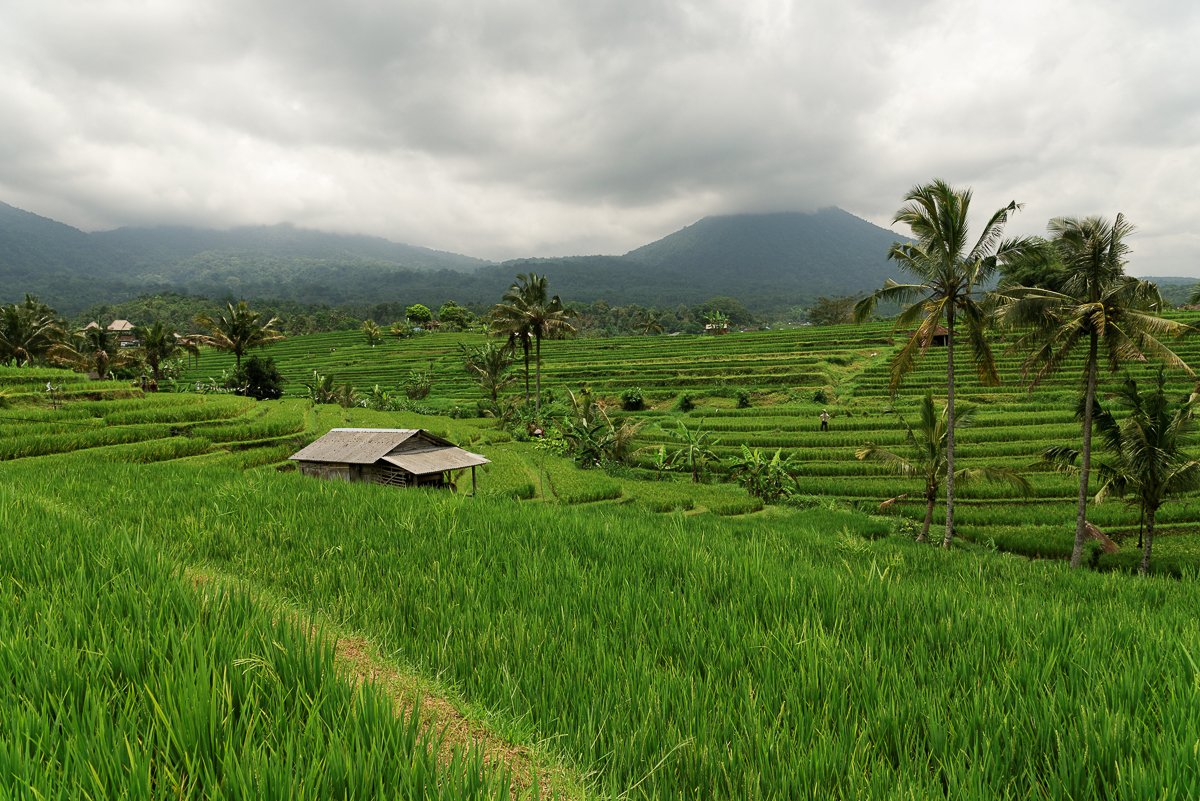 Bali