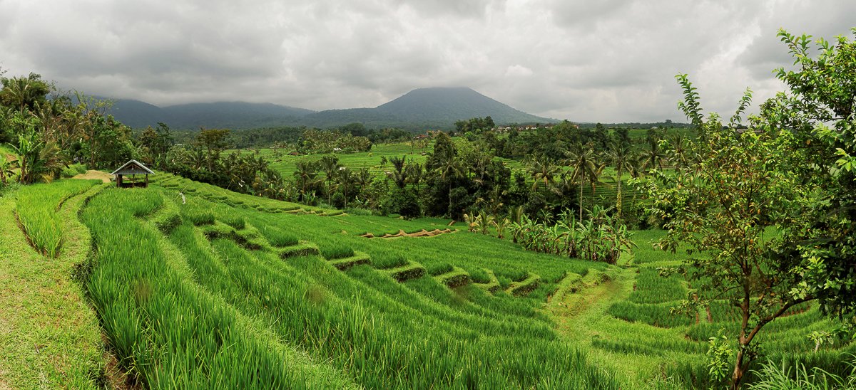 Bali