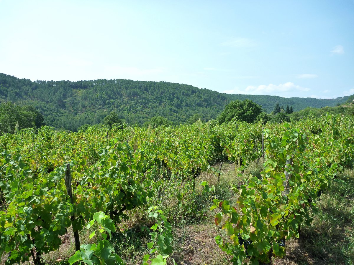 Ardeche