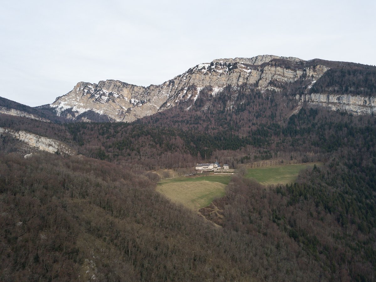 Chartreuse