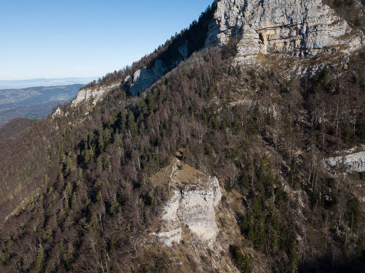 Chartreuse