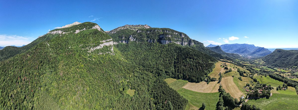Chartreuse