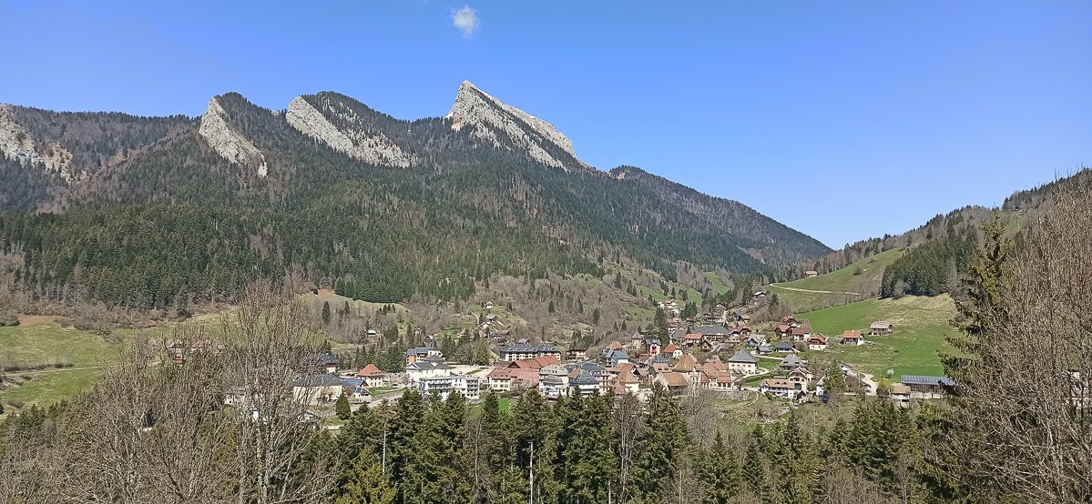 Chartreuse