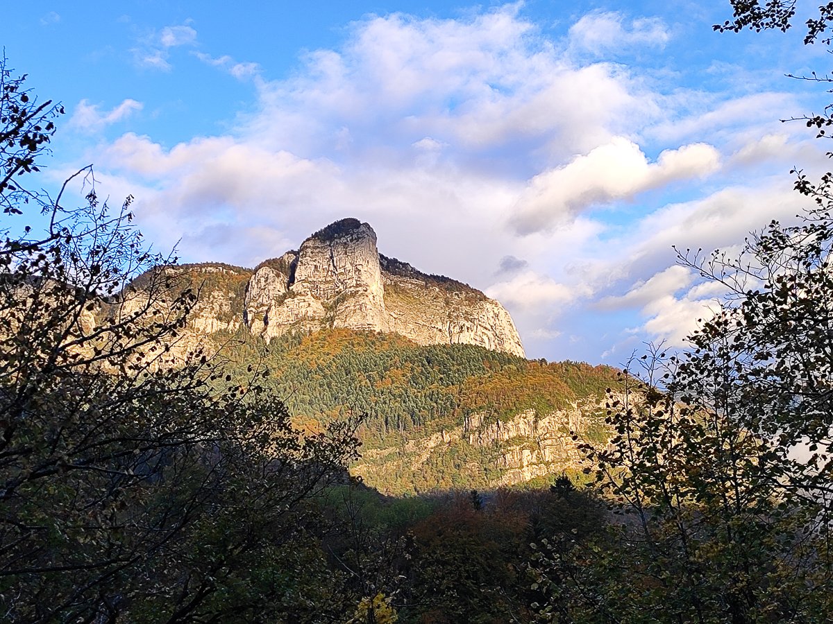 Chartreuse