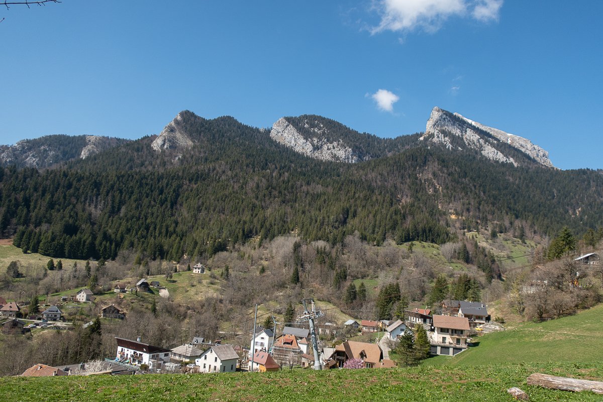 Chartreuse