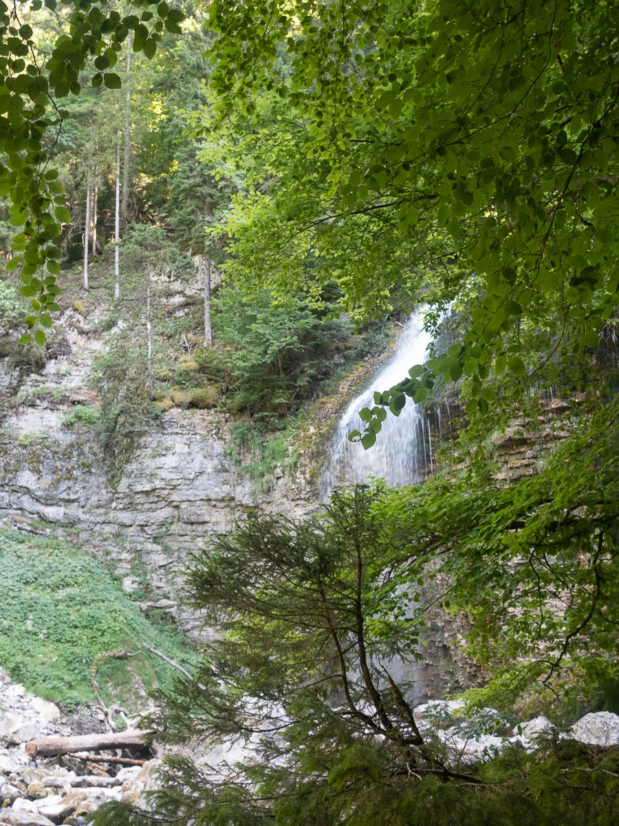 Chartreuse