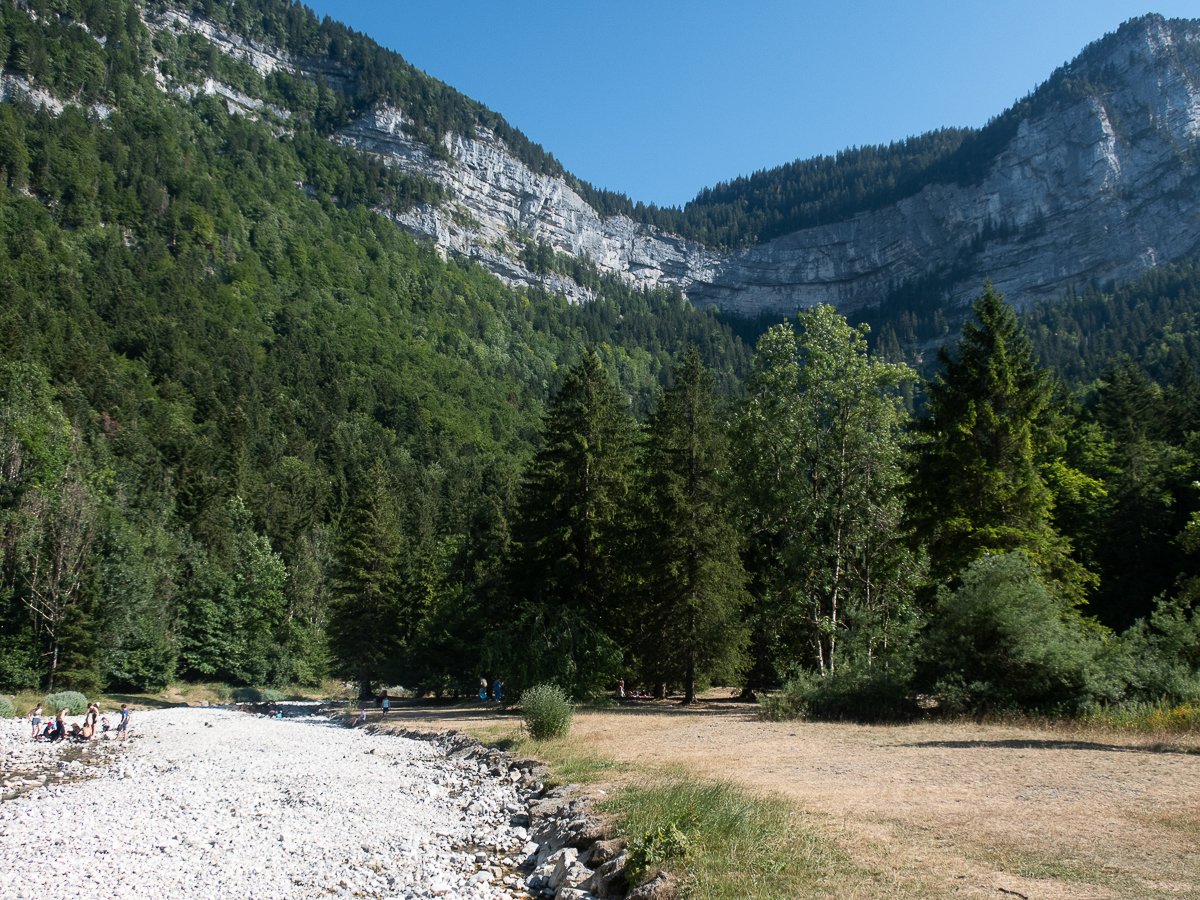 Chartreuse