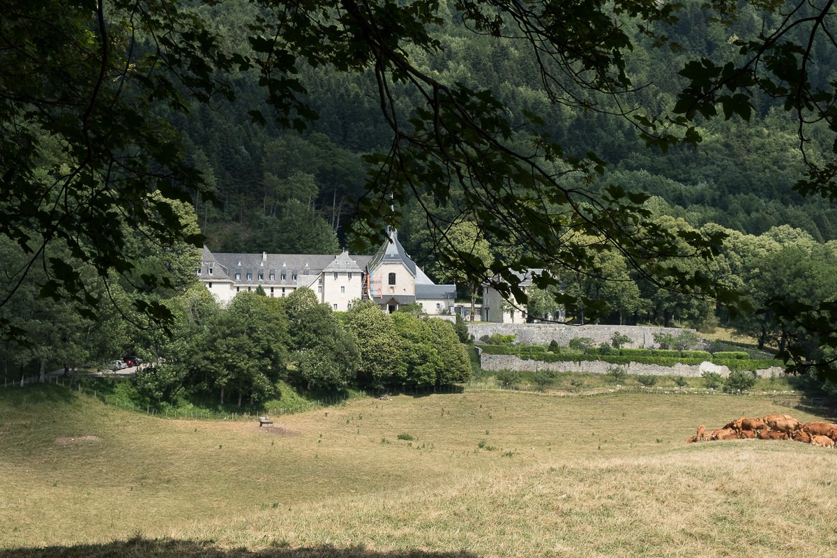 Chartreuse