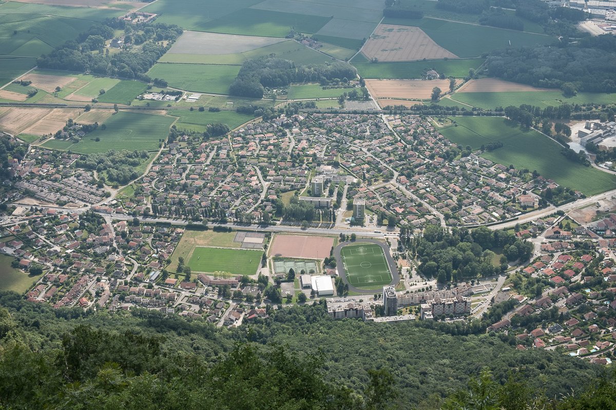 Chartreuse