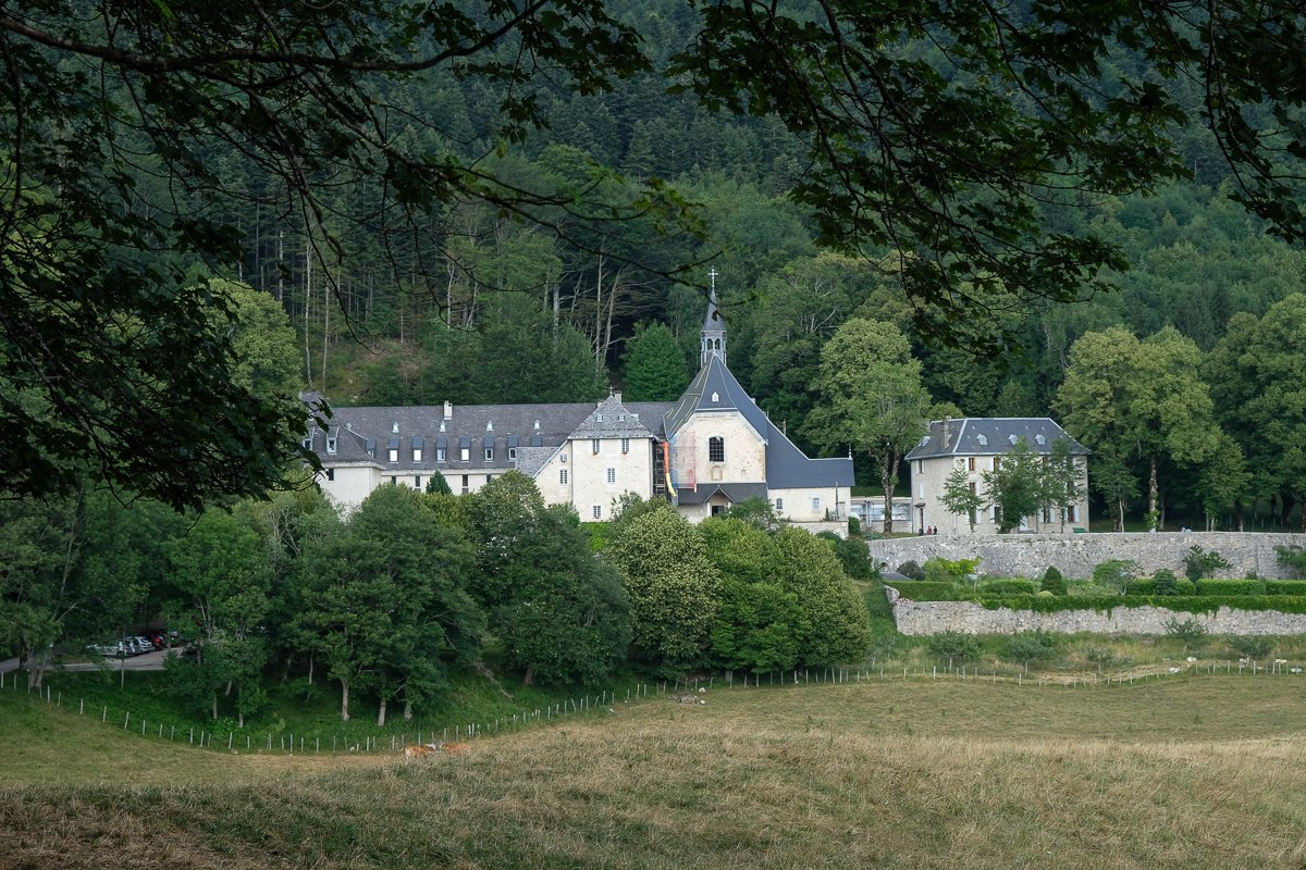 Chartreuse