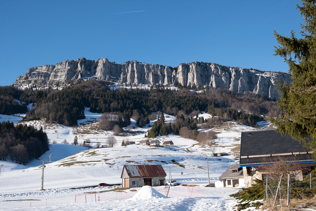 Chartreuse